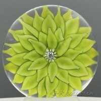 DAHLIA pistachio